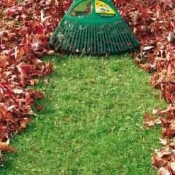 Balai à Gazon Balai à Gazon XL 27 Dents Manche Bois Spécial Feuilles Leborgne 369711 -Espace vert et piscine Soldes Boutique imageproduct371873 2