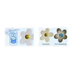 TOUCAN Produit D'entretien Piscine Absorbant De Corps Gras Water Lily Pour Piscine Et Spa Boîte De 6 -Espace vert et piscine Soldes Boutique lily