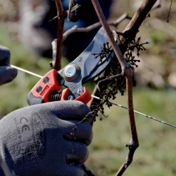 Sécateur Et élagueur Sécateur Ergonomique Poignée Fixe PX-M2 T M Taille Coupe 20mm Bahco -Espace vert et piscine Soldes Boutique secateur coupe bahco