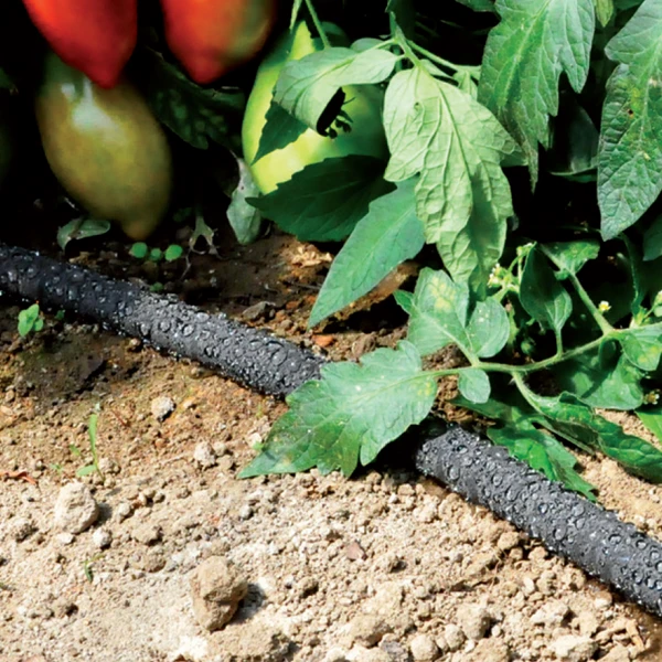 Fitt Goutte à Goutte Ensemble Tuyau Poreux Ecodrop Raccords Réducteur Pression 13x16mm 15m 5 Fitt Goutte à Goutte Ensemble Tuyau Poreux Ecodrop Raccords Réducteur Pression 13x16mm 15m – Image 3